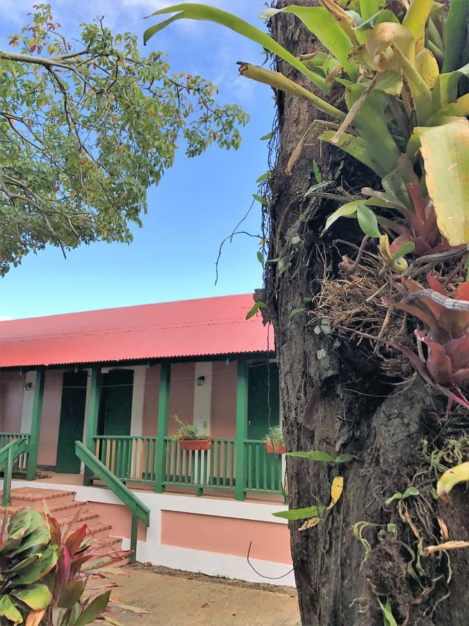 Hacienda Juanita Hotell Maricao Exteriör bild